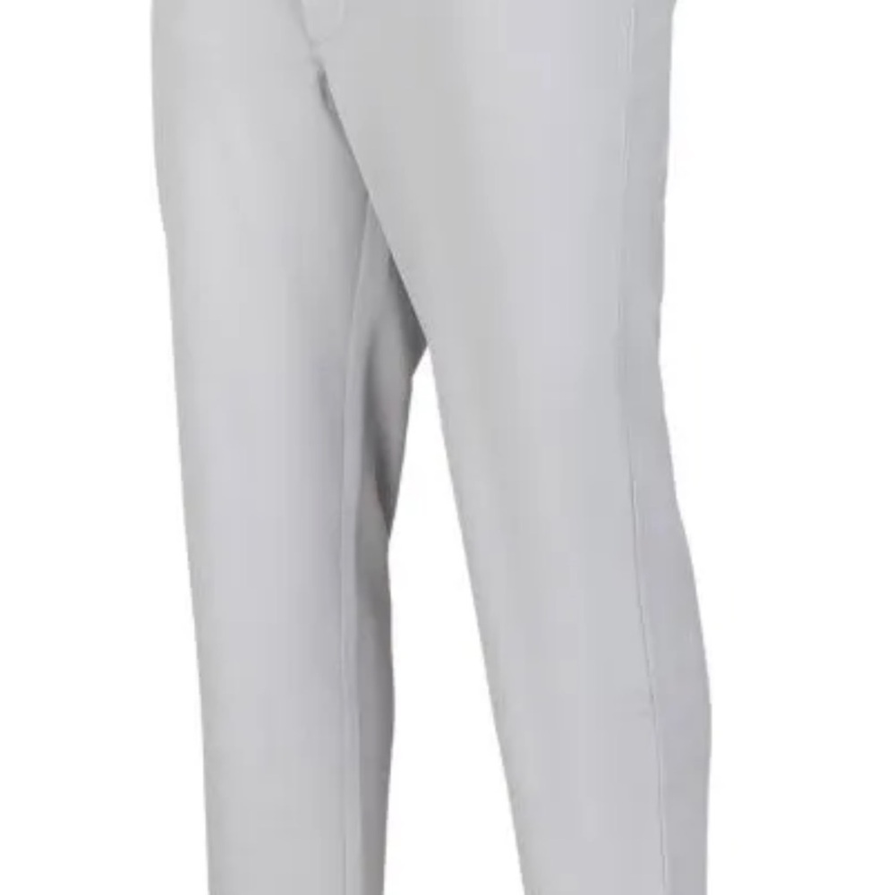 Mizuno Light Gray Pants Men’s Baseball L